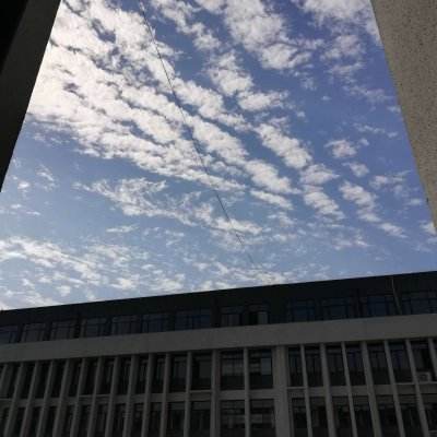 我醉江湖bt变态版下载